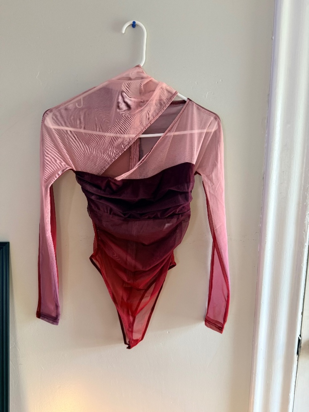 Fashion Nova mesh bodysuit